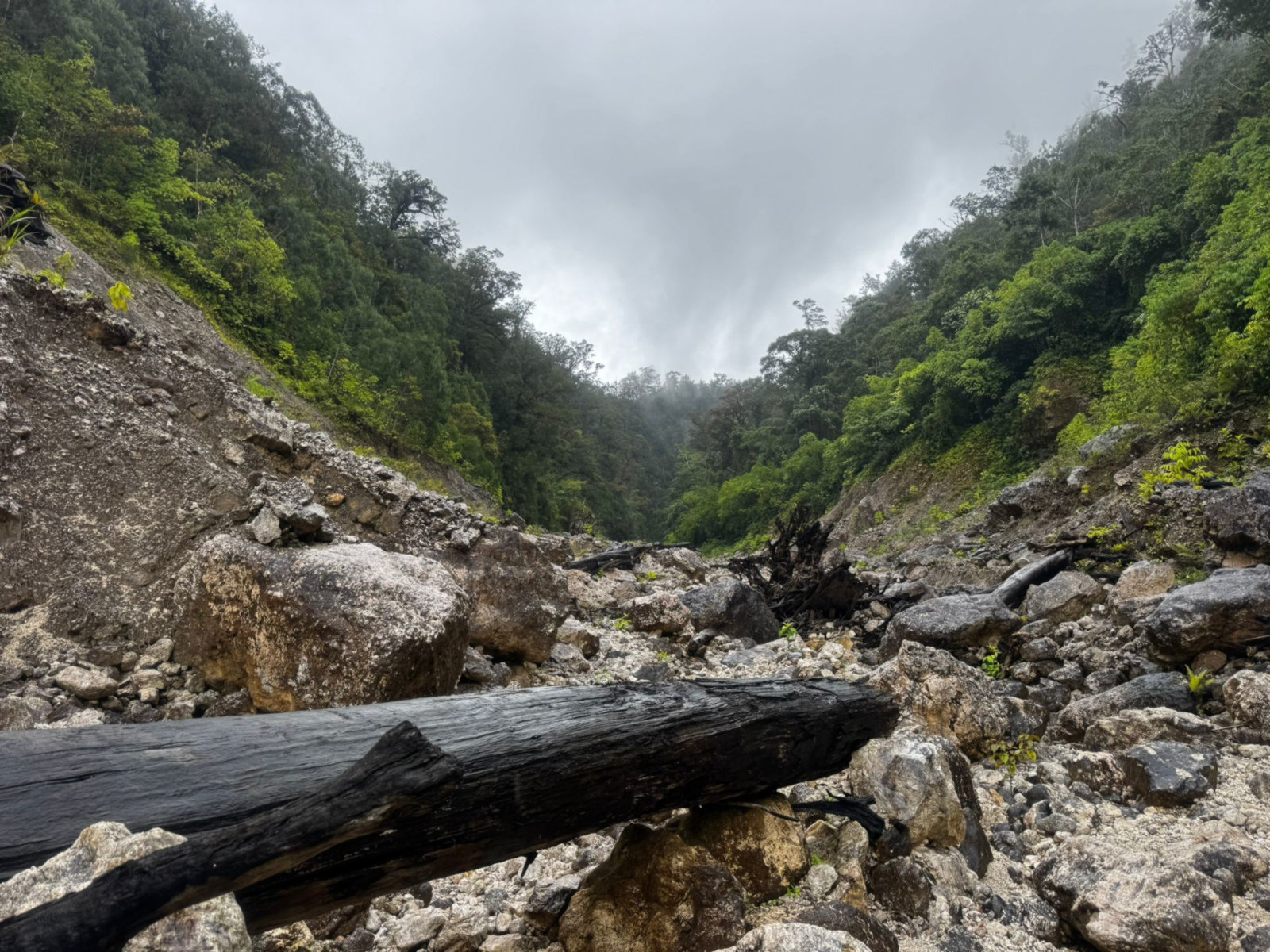 Le lit de la Poy en amont du point d'accès