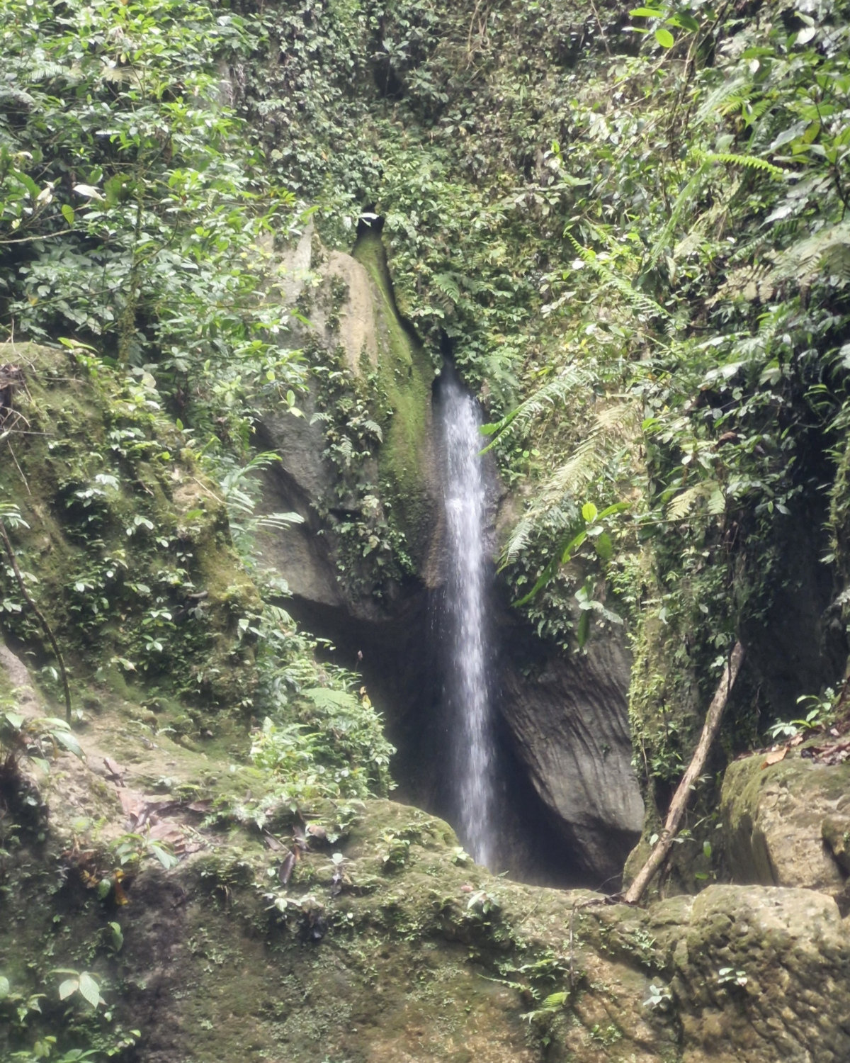 La coquette résurgence de la Poy