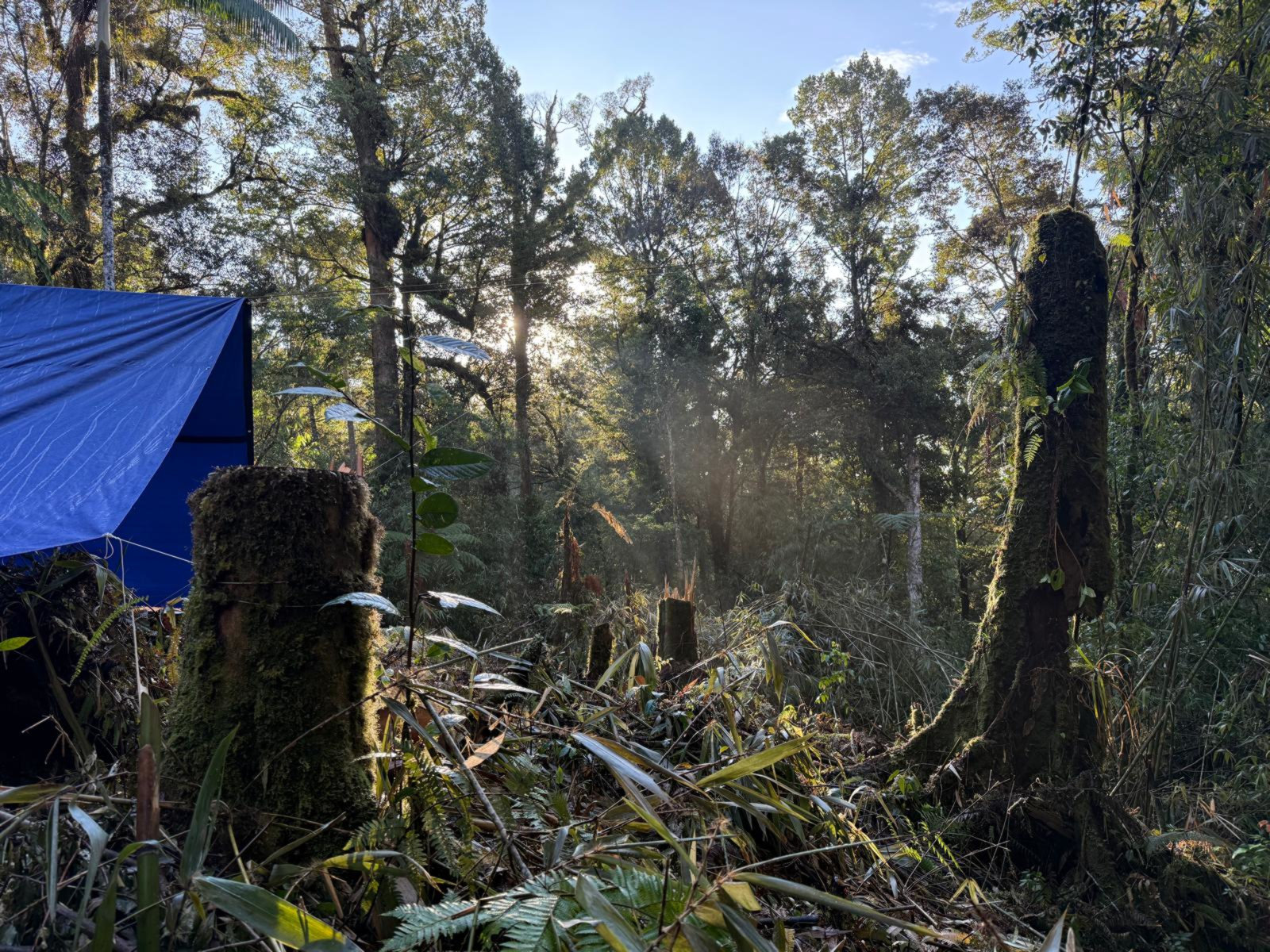 Le camp Big Bag, ainsi nommé car le matériel sera héliporté dans un grand sac de chantier.