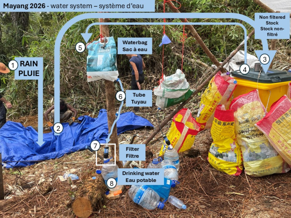 Système pour récupérer l'eau de pluie