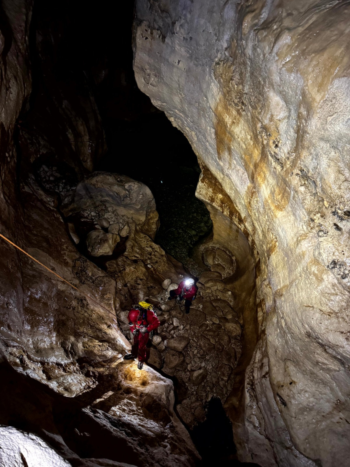 Les belles morphologies de Ralapusa entravent la progression