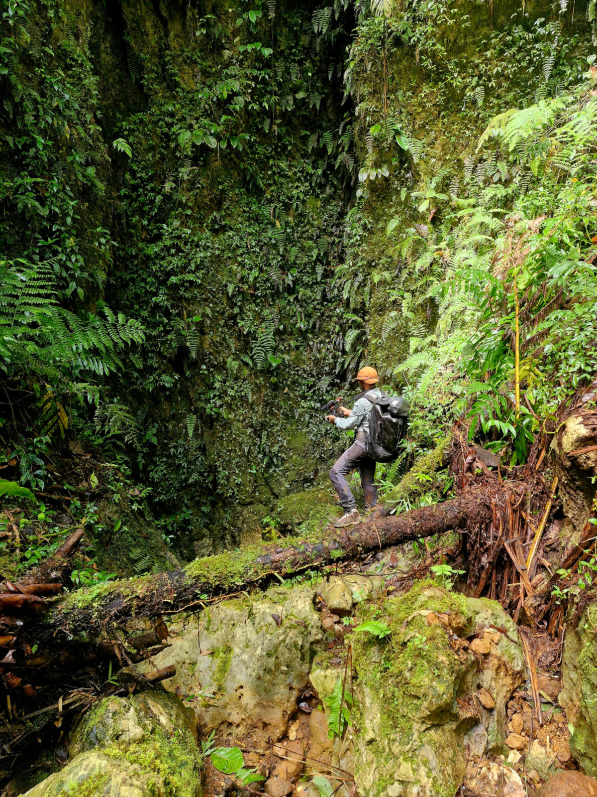 Vue de dron de la perte Gauunu