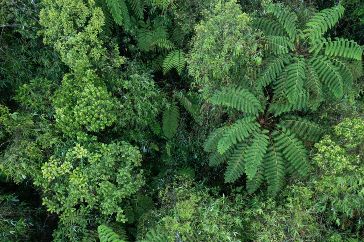 Yann filme cette belle découverte