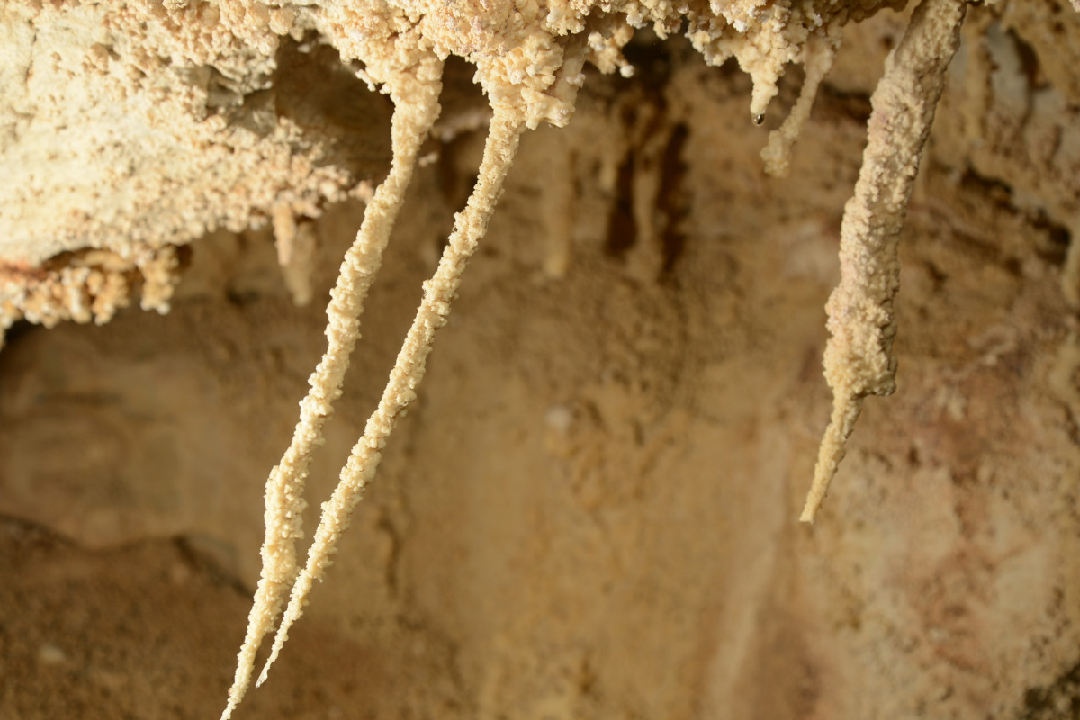 Prise dans la galerie aux courants d'air de la grotte de l'ancien, les concrétions présentent une inclinaison de l'ordre de 30°