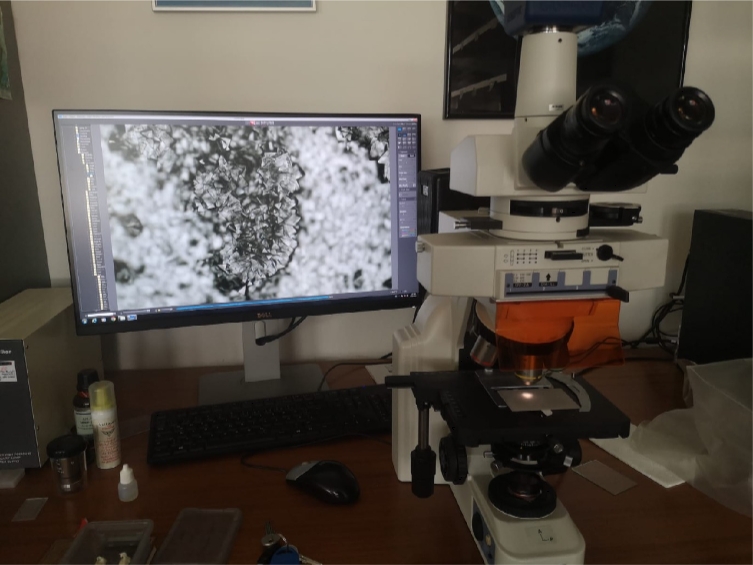 Photo 5. Observation au microscope des cristaux de calcite précipités entre 2019 et 2023 dans la grotte des Trois Entrées Plus Une