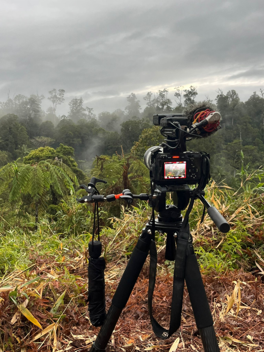 The vegetation of the Nakanaï makes the journey difficult.