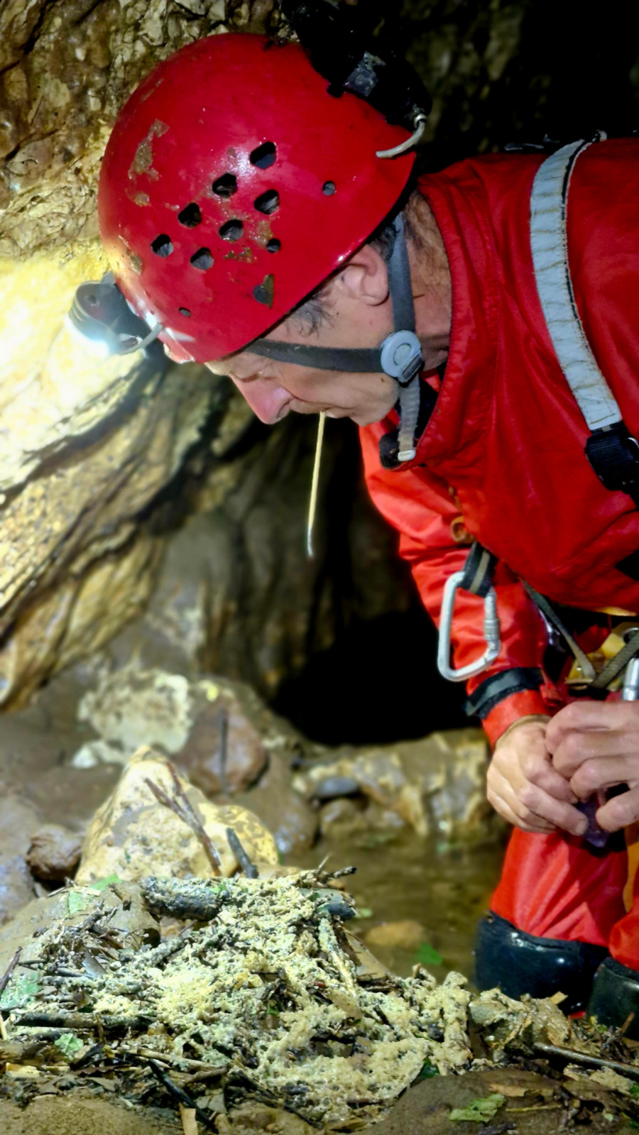 Franck uses the opportunity to collect samples of the underground fauna.