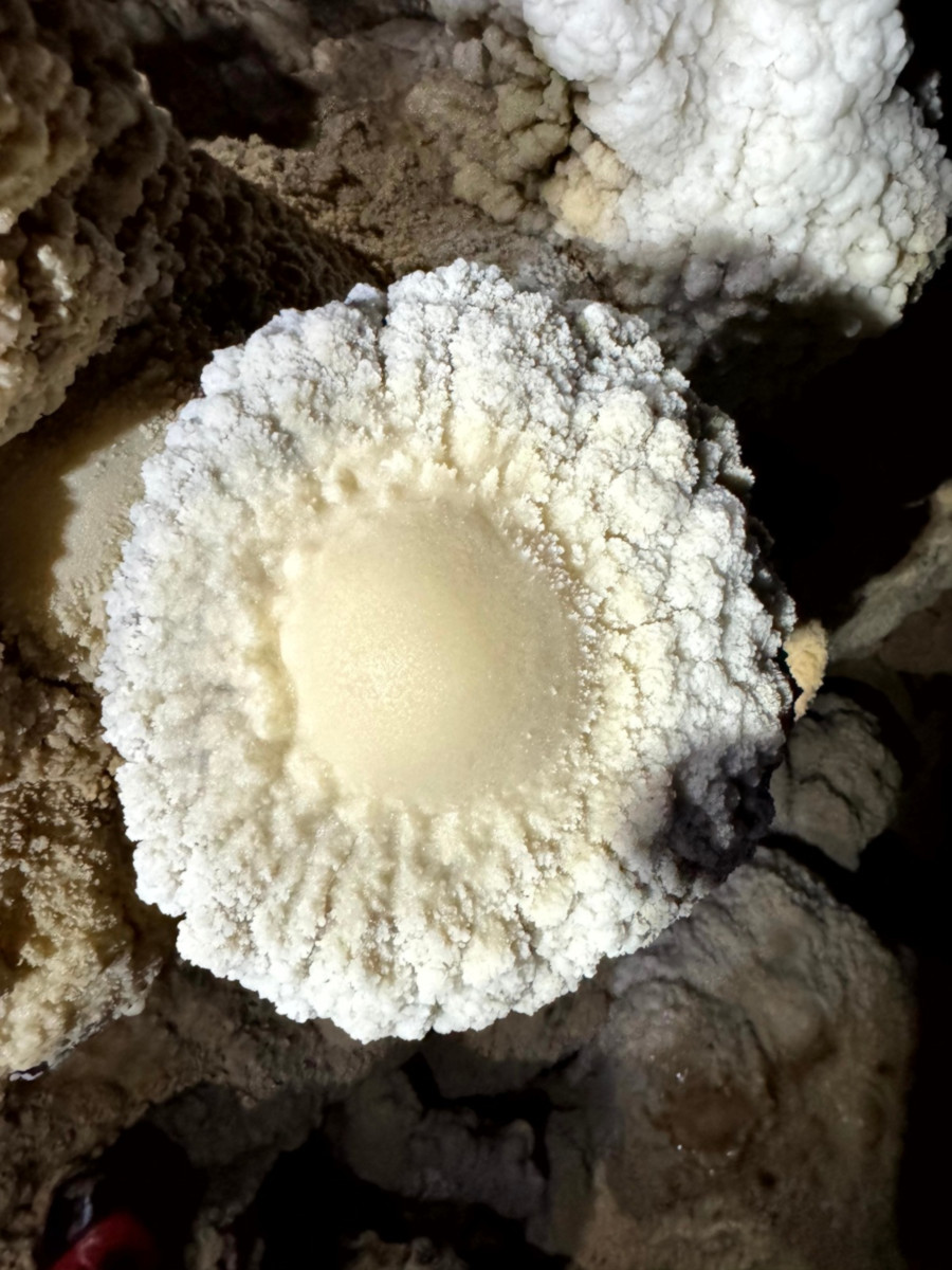 'sunny-side-up eggs.'