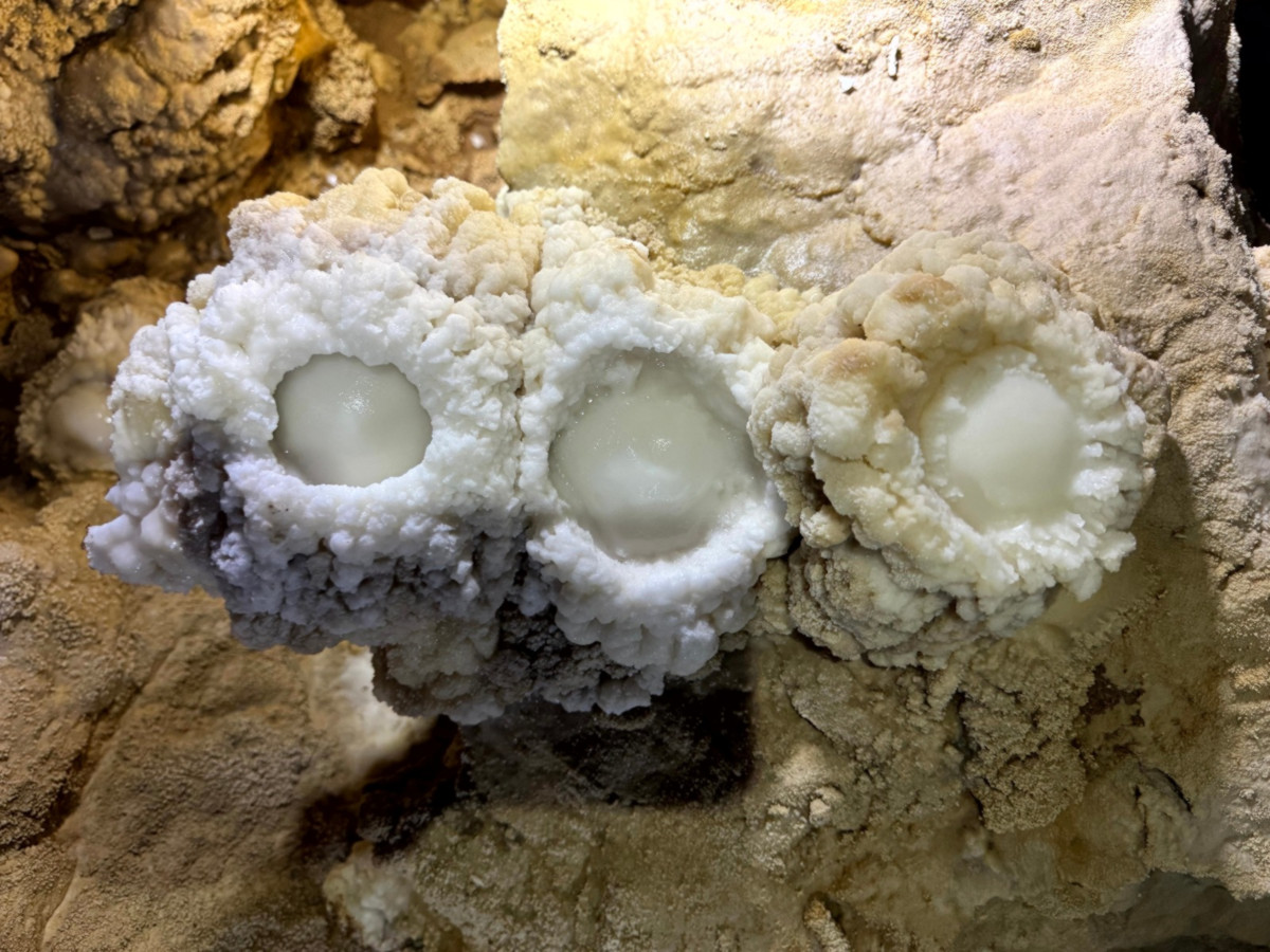 'sunny-side-up eggs.'