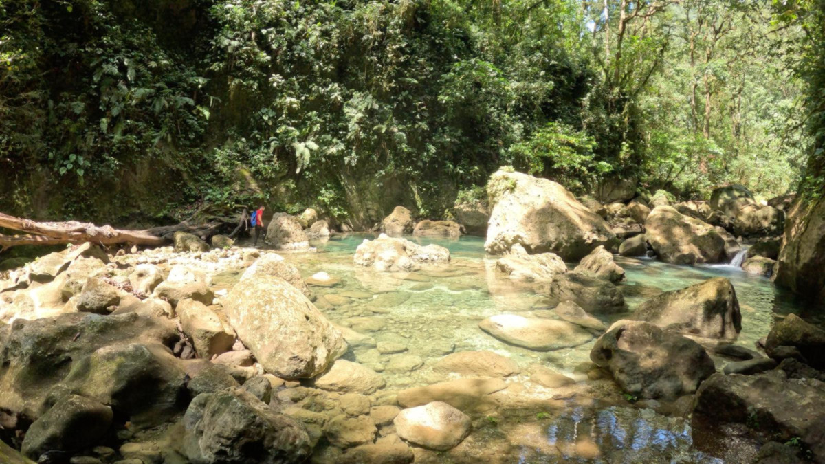 Several activated carbon sensors installed in the resurgences and in the riverbed.